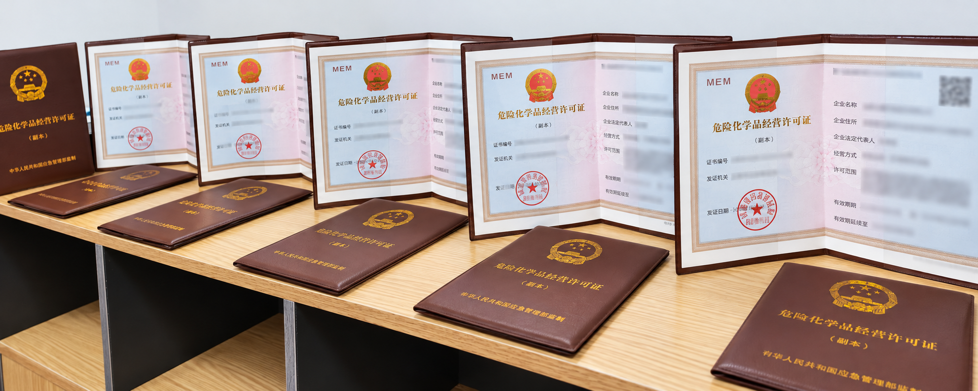 危险化学品经营许可证办理案例，隐私信息已模糊